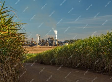 Como a conectividade 4G e 5G está revolucionando o Setor Sucroenergético no Brasil Como a conectividade 4G e 5G está revolucionando o Setor Sucroenergético no Brasil