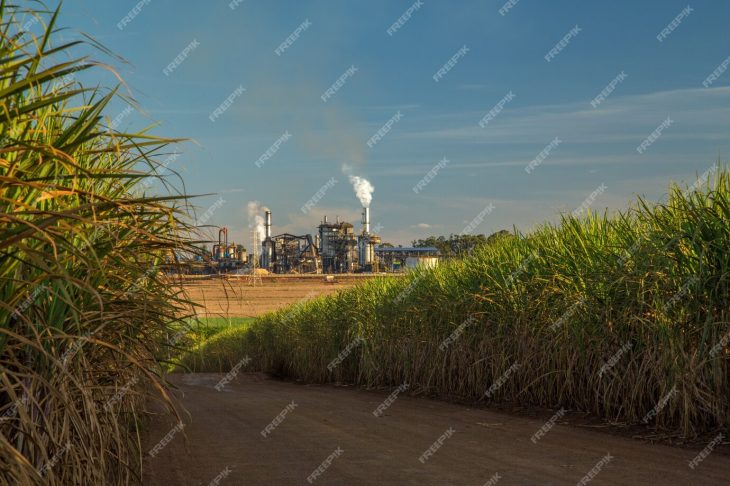 Como a conectividade 4G e 5G está revolucionando o Setor Sucroenergético no Brasil Como a conectividade 4G e 5G está revolucionando o Setor Sucroenergético no Brasil